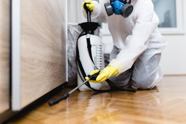 Best Termite Control Services  in Hilliard, OH