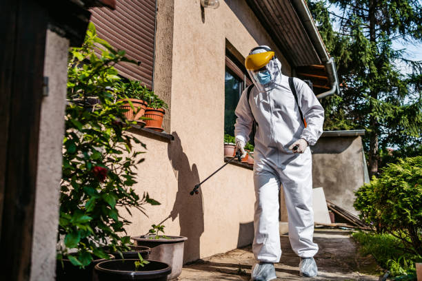 Best Best Pest Control Companies  in Hilliard, OH