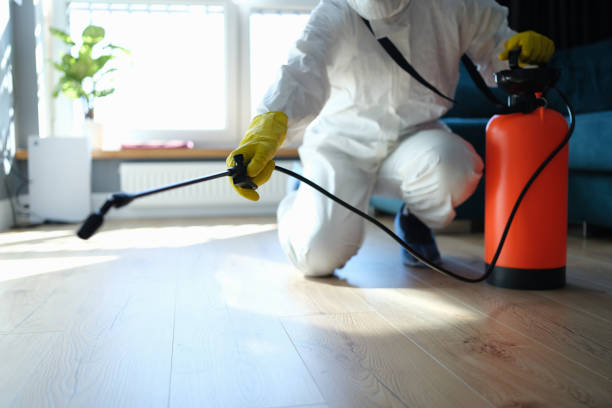 Wasp Removal Services in Hilliard, OH