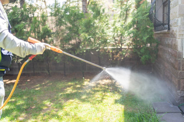 Best Best Pest Control Companies  in Hilliard, OH