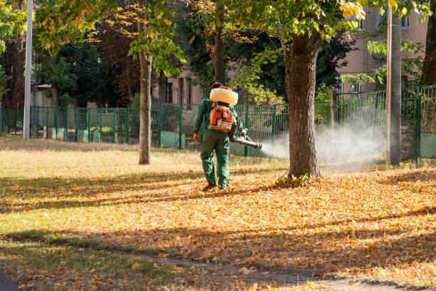Best Affordable Pest Control Services  in Hilliard, OH