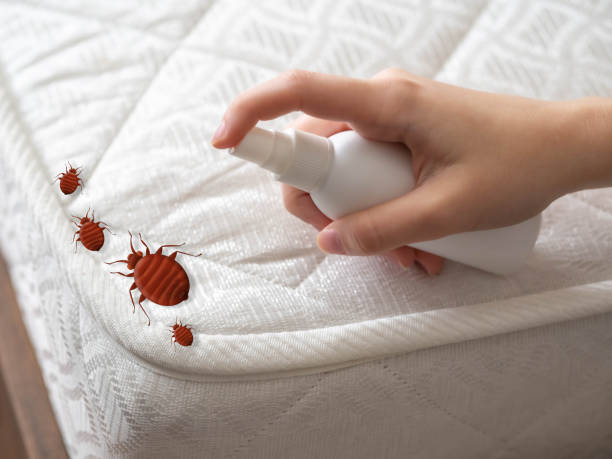 Best Pest Control Near Me  in Hilliard, OH