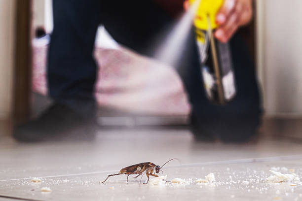 Best Best Pest Control Companies  in Hilliard, OH