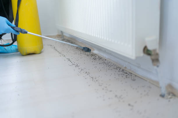 Best Cockroach Control Services  in Hilliard, OH