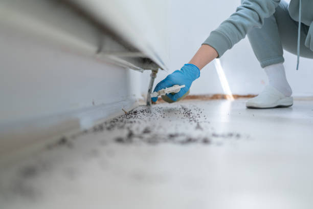 Best Exterminator Services  in Hilliard, OH